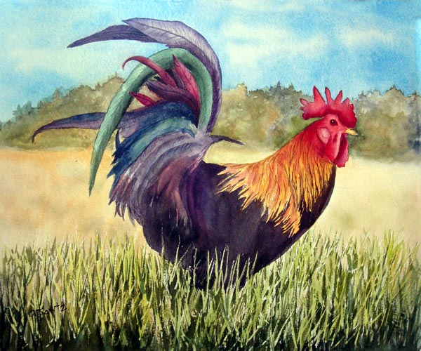 Rusty the Rooster